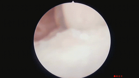 股票线上配资 世界急救日：这些日常急救知识要知道！